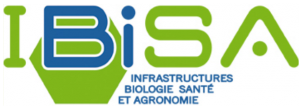 Logo GIS IBiSA