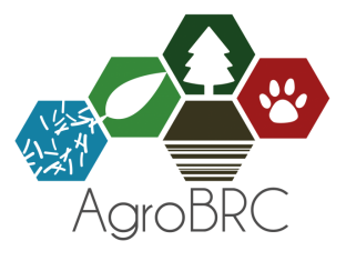 Logo RARe